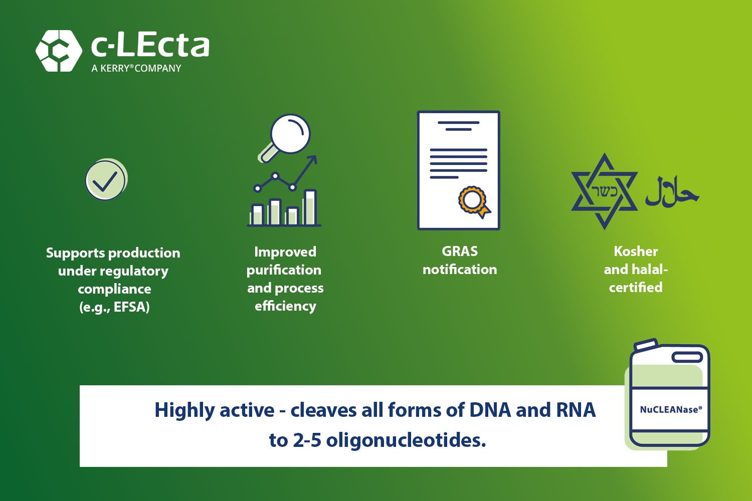 c-LEcta's NuCLEANase Receives Positive GRAS Evaluation from US FDA